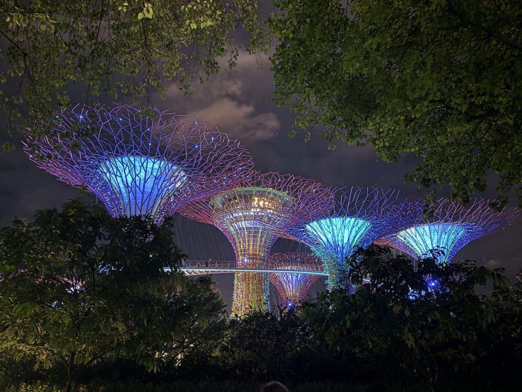 Beleuchtete Supertrees in den Gardens by the Bay bei Nacht