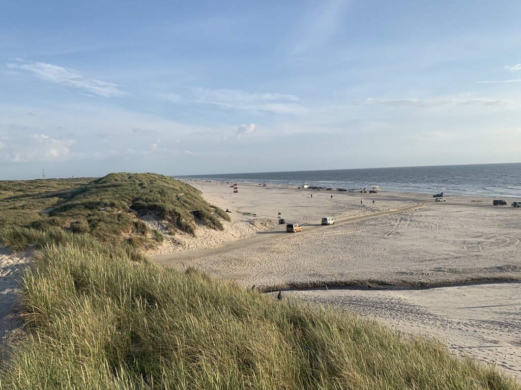 Sanddünen mit Strandhafer und Strand an der dänischen Nordseeküste