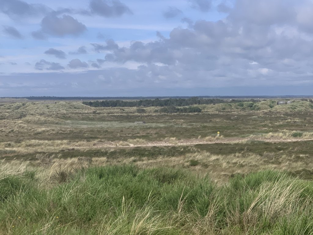 Weite Dünenlandschaft mit Heide und Nordsee am Horizont