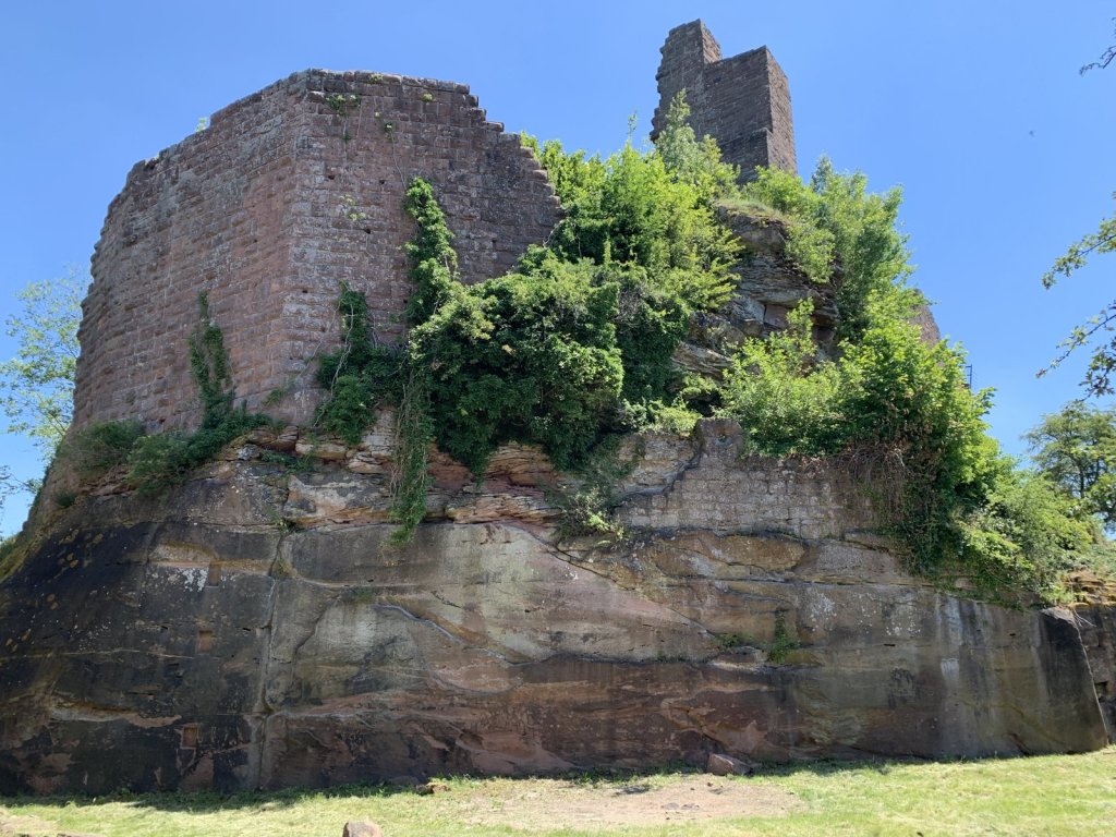 Rote Sandsteinruine einer Burg auf einem Felsen mit Efeu bewachsen