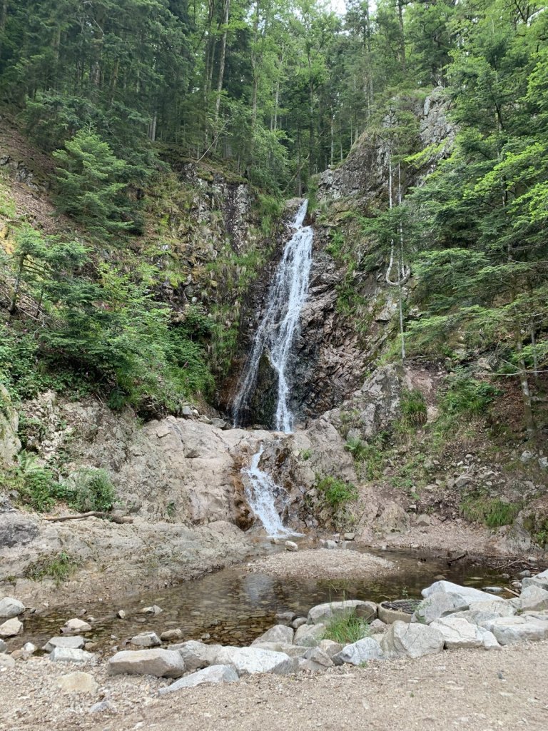 Kleiner Wasserfall zwischen Fichten und Felsen in den Vogesen