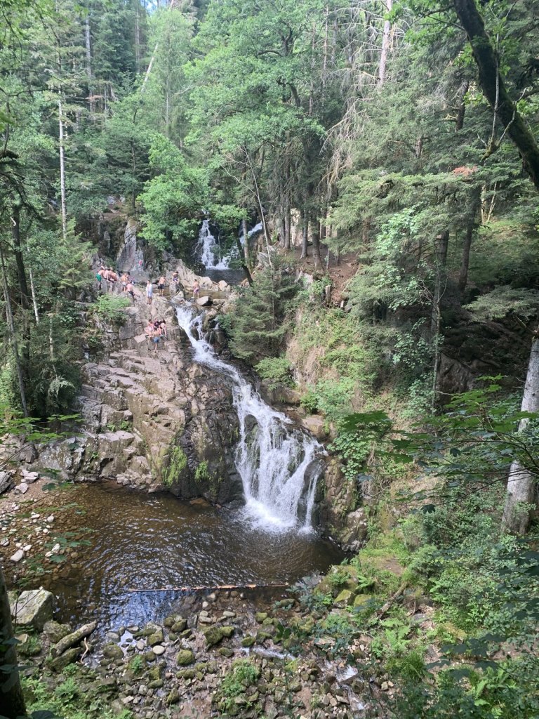Wasserfall über moosige Felsen im Nadelwald der Vogesen