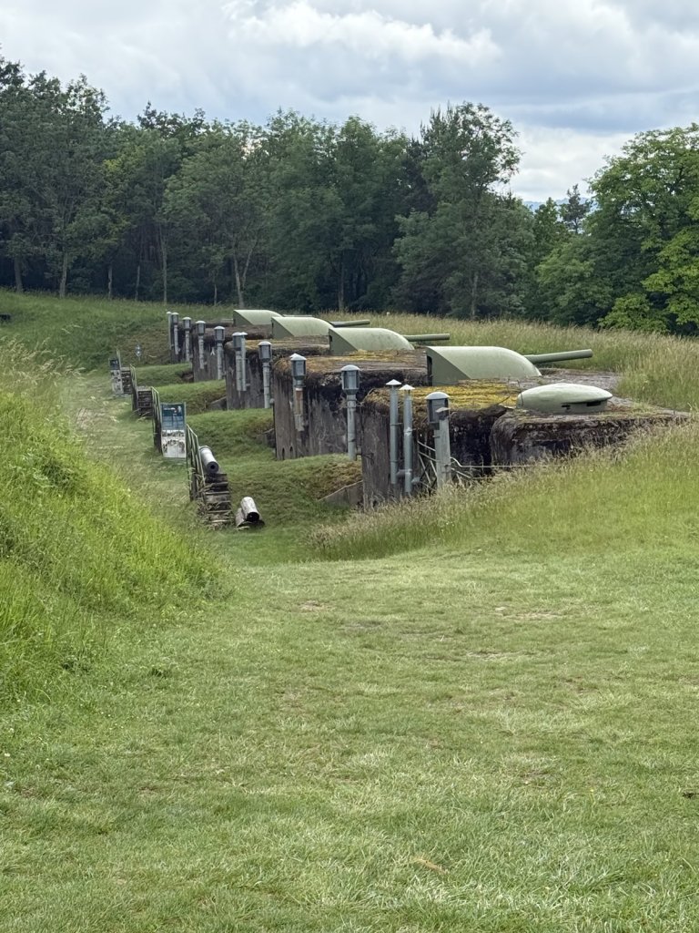 Reihe von Panzerkuppeln und Geschützstellungen auf einer Wiese im Wald