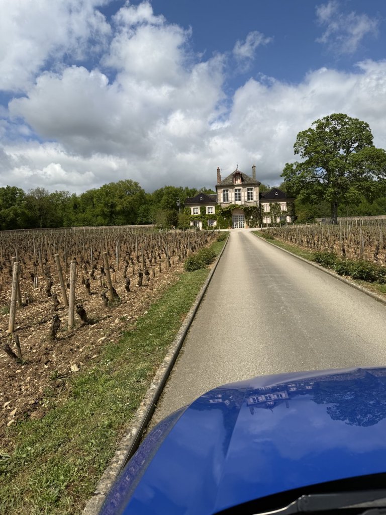 Schmale Straße zwischen Weinreben mit einem Weingut im Hintergrund
