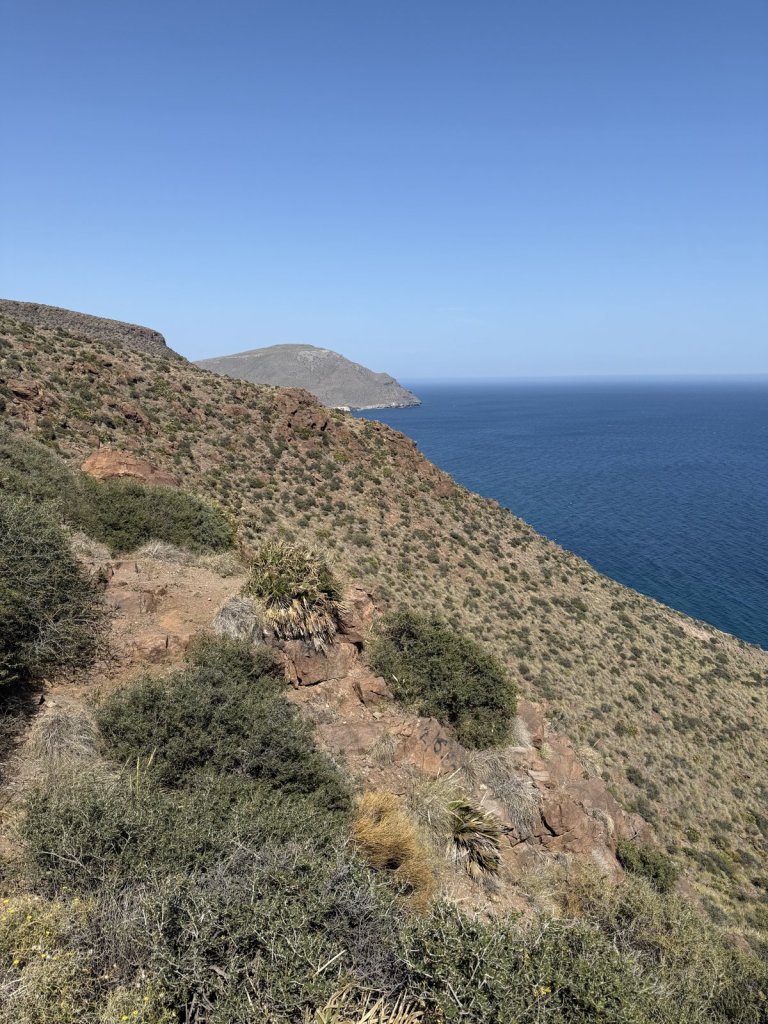 Steile Küste mit Macchia über dem Meer am Cabo de Gata