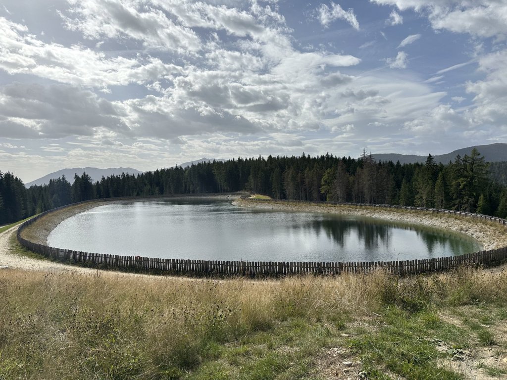 Runder Speichersee in einer Bergwiese mit Wald dahinter
