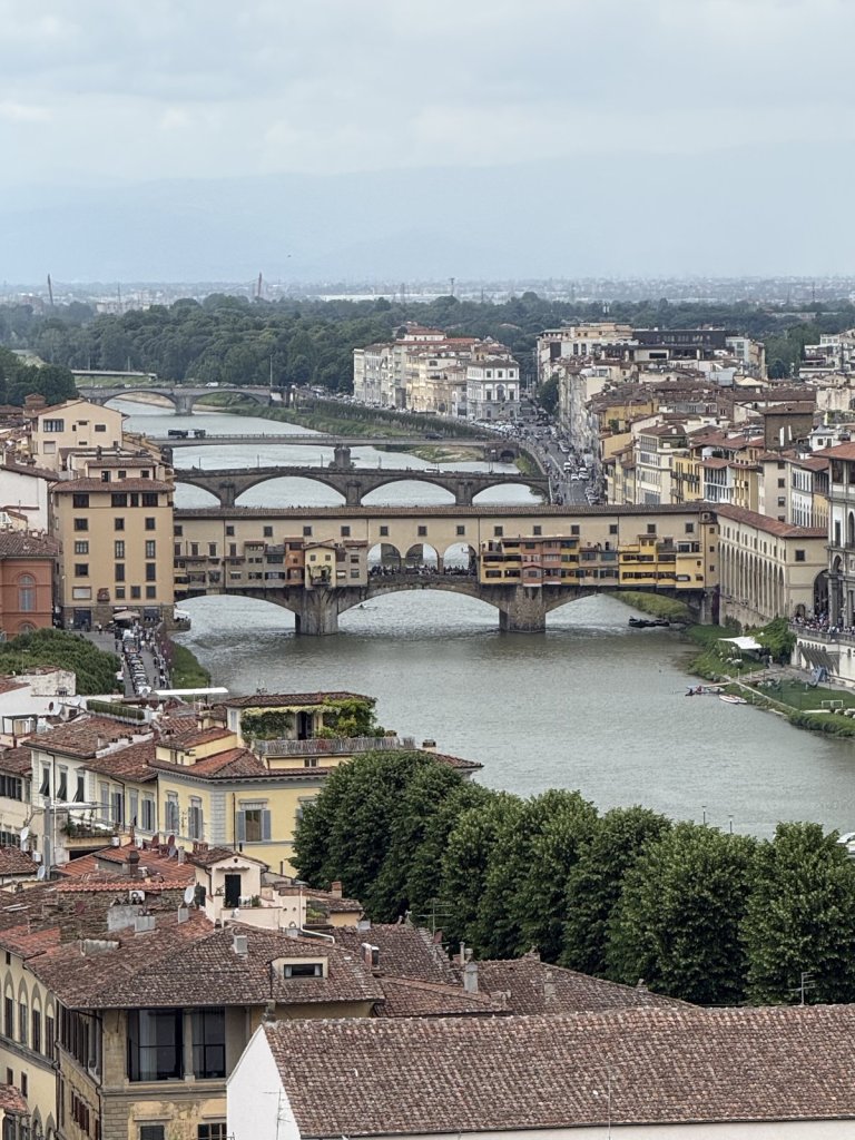 Blick auf den Arno mit Ponte Vecchio und den Dächern von Florenz