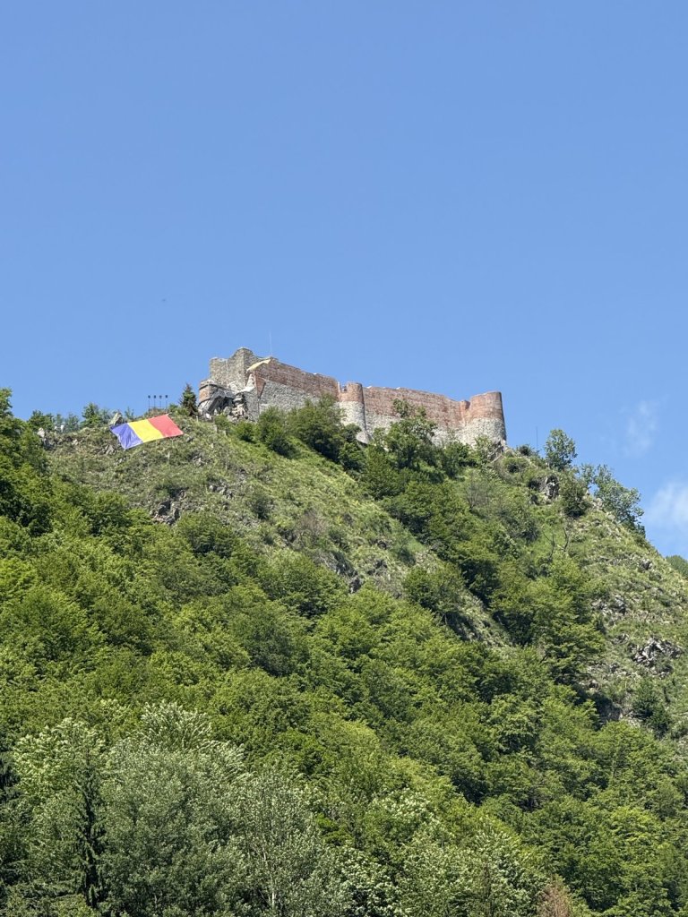 Ruine der Burg Poenari auf einem bewaldeten Berg mit rumänischer Flagge