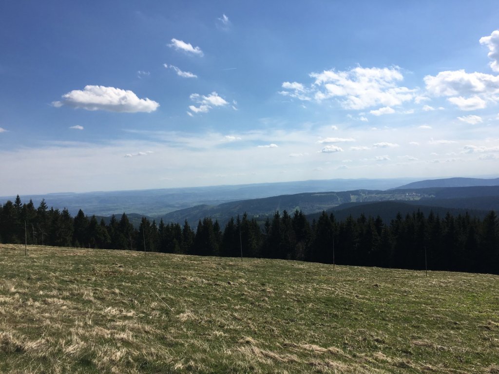 Weite Hochfläche mit Fichtenwald und fernen Hügeln