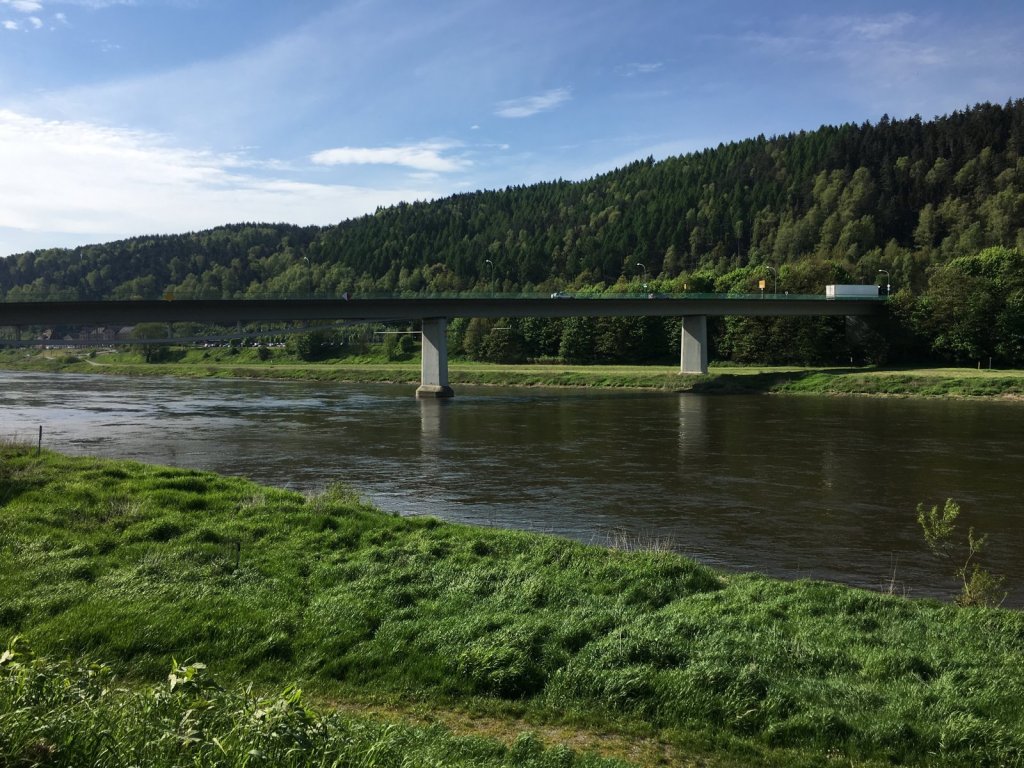 Elbe mit Brücke zwischen bewaldeten Hängen