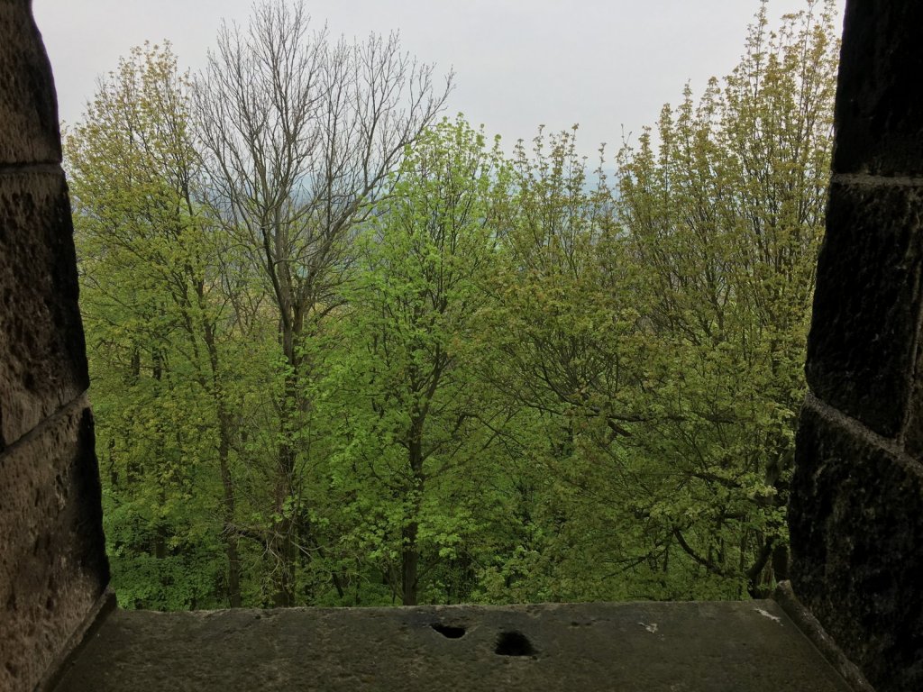 Blick aus einer Turmöffnung auf frisch grüne Baumwipfel