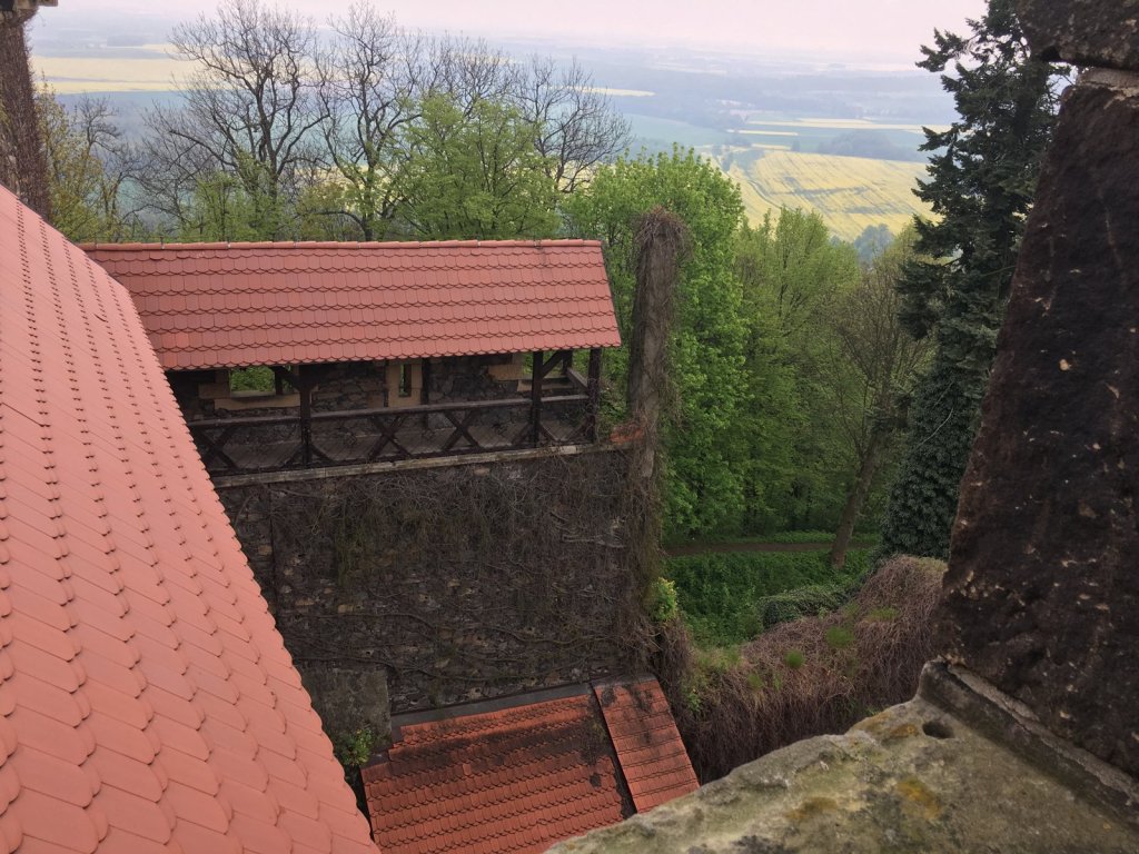 Blick vom Turm auf rote Dächer und Wälder rund um das Schloss