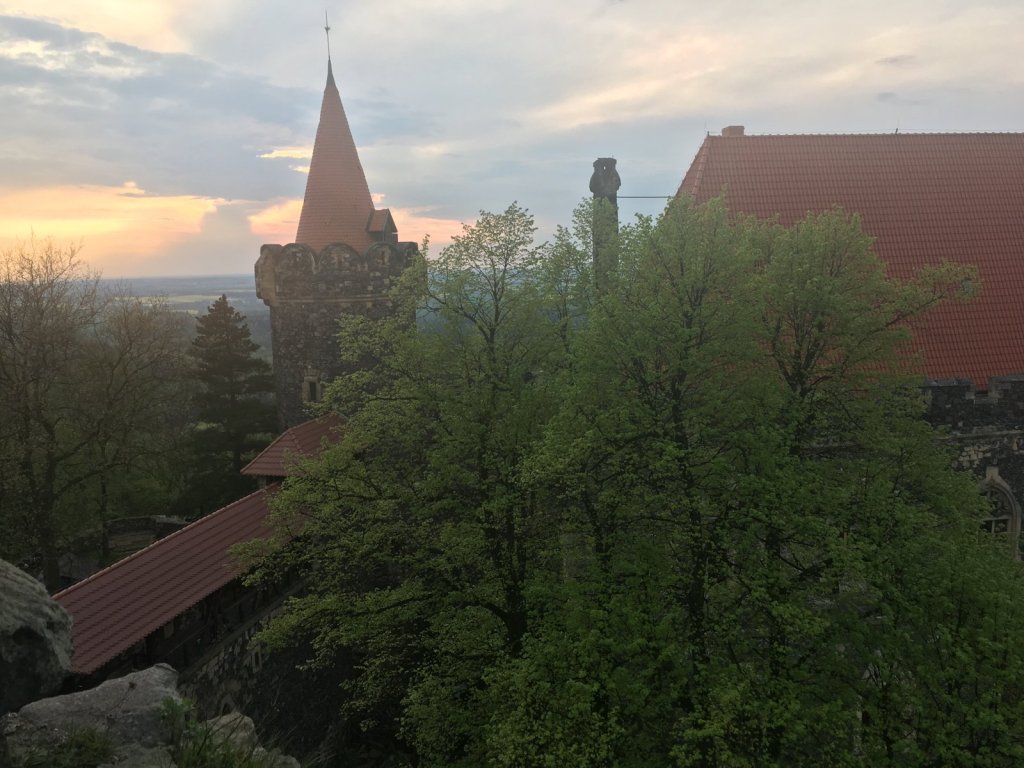 Turm und Dächer des Schlosses im Abendlicht über den Baumkronen