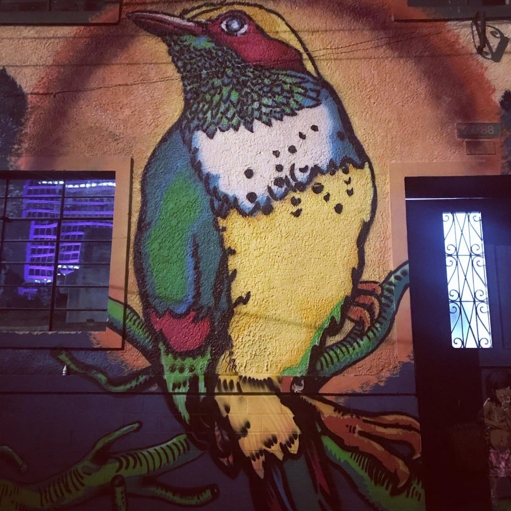 Großes Wandbild eines bunten Kolibris an einer Hauswand in Bogotá
