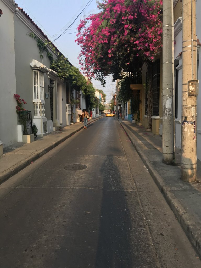 Ruhige Gasse mit pinker Bougainvillea und weißen Kolonialhäusern