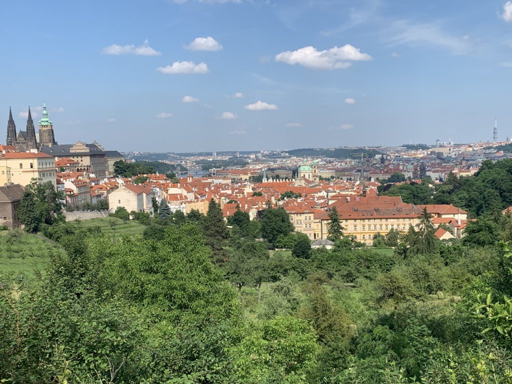 Blick über Prag mit Prager Burg und grünen Hängen