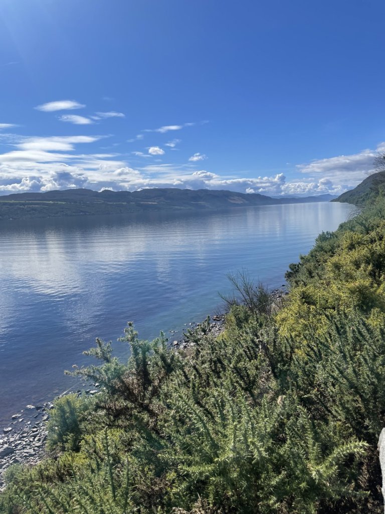 Blick über Loch Ness mit Ginster am Ufer
