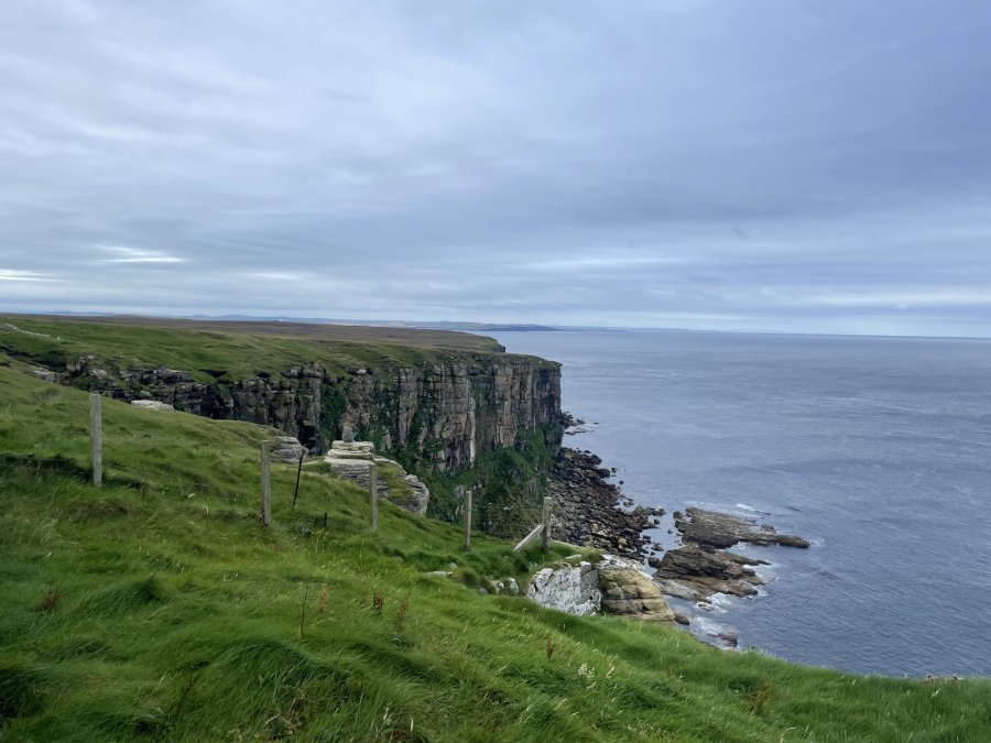Steilküste von Dunnet Head mit Wiese und Meer