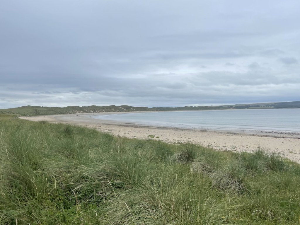 Heller Sandstrand mit Dünengras an der Nordküste