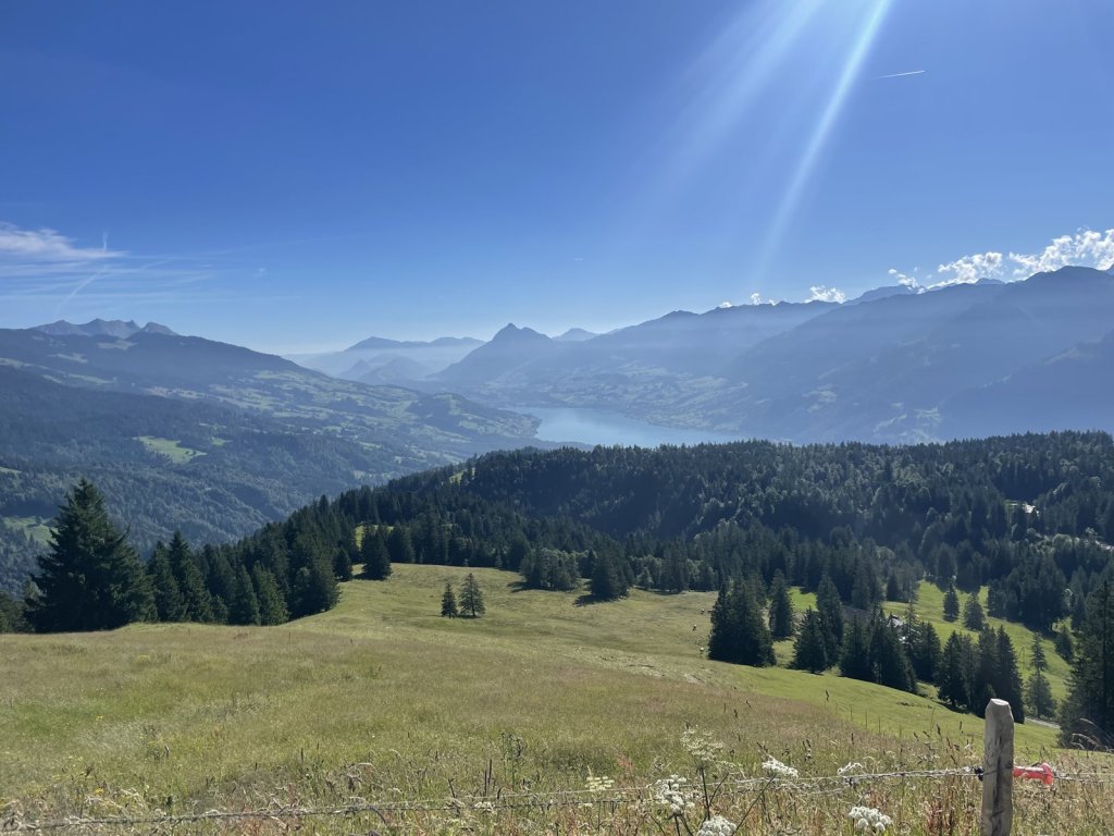 Blick über Almwiesen und Wälder auf einen See im Tal