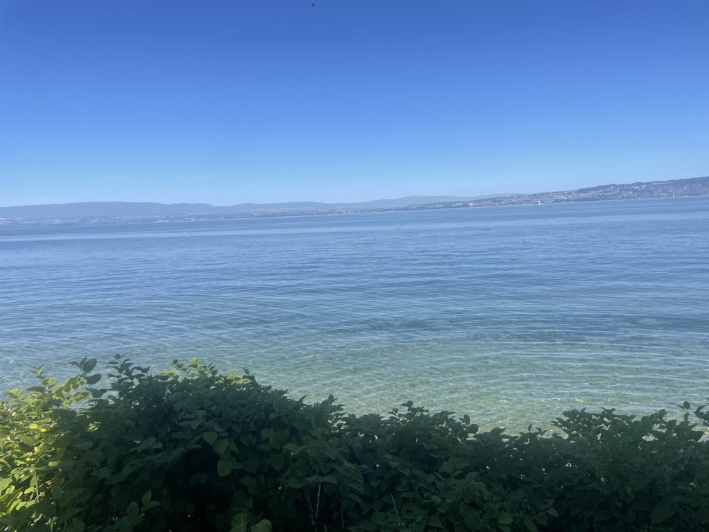 Blick über den Genfersee bei Thonon mit Ufer im Dunst