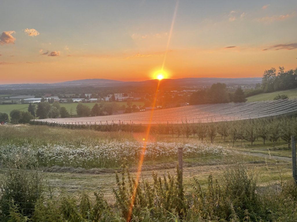 Sonnenuntergang über einer Ebene mit Wiese und Obstplantage