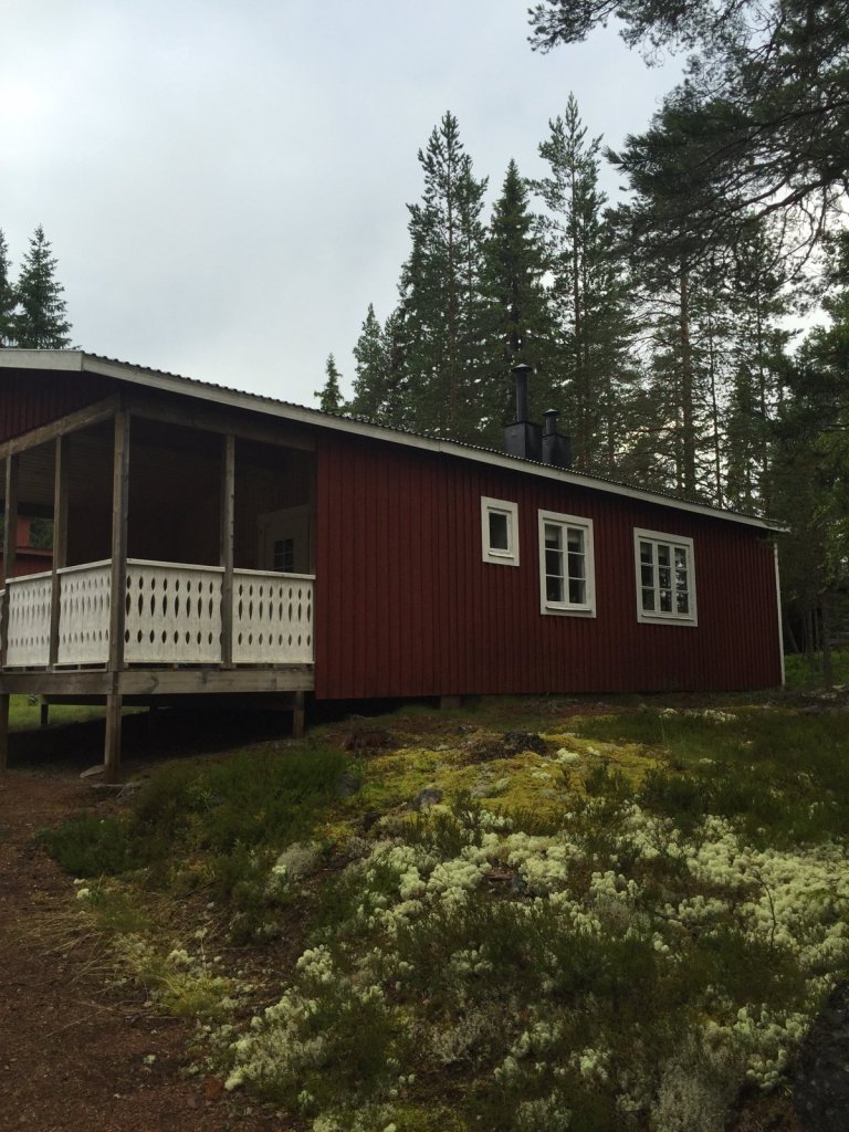 Rote Holzhütte mit weißer Veranda im Kiefernwald