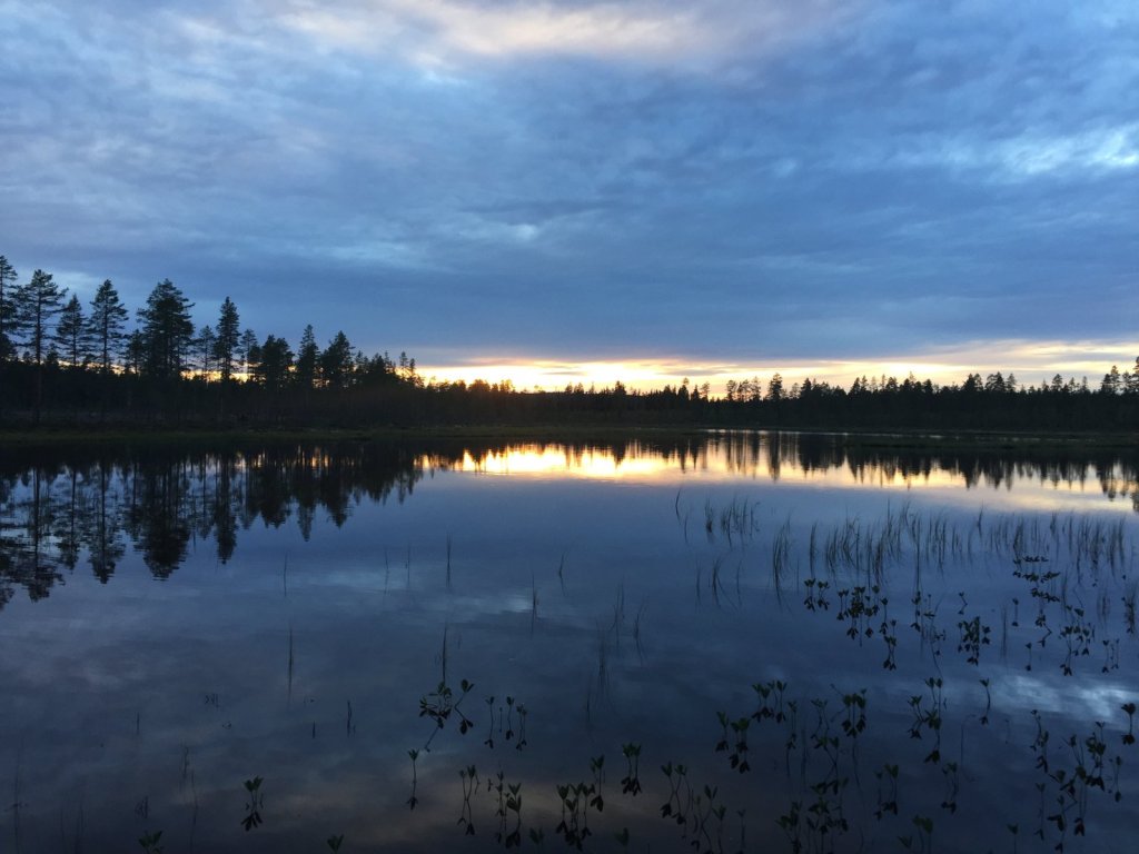 Spiegelglatter See mit Abendrot über dem Wald