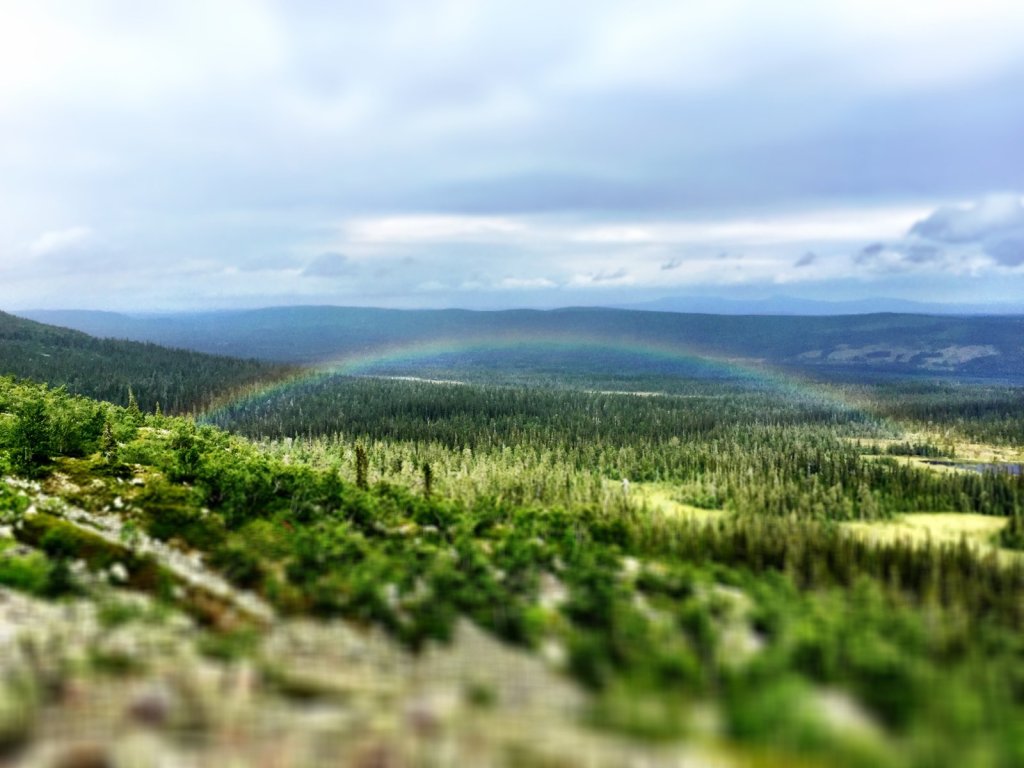 Regenbogen über Wald und Hügeln vom Fjäll aus gesehen