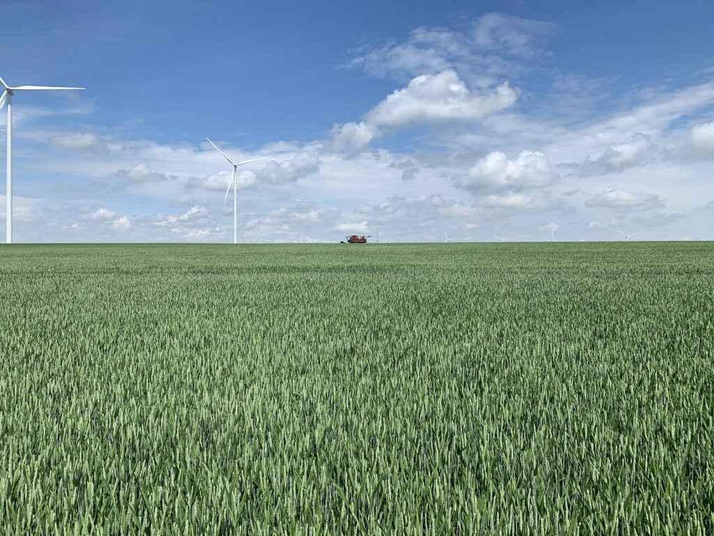 Weizenfeld mit Windrädern bei Brin-sur-Seille