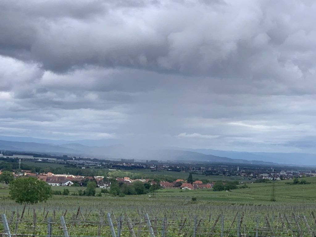Regenwolken über Weinbergen und der Rheinebene bei Niedermorschwihr